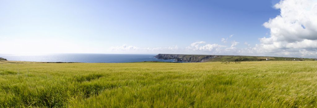 Cornwall tours